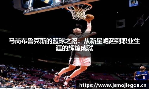 雷火官网入口